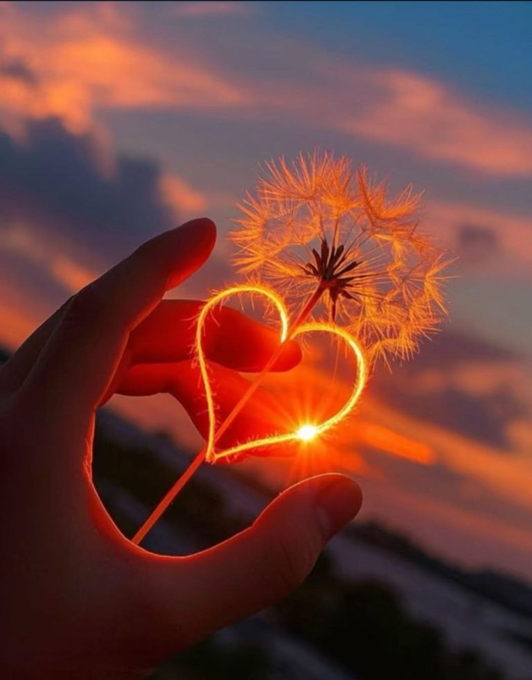 Un refugio para el corazón sencillo